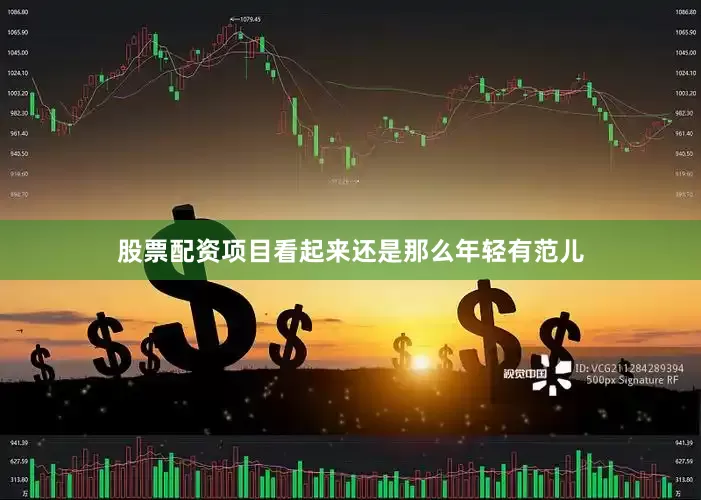 股票配资项目看起来还是那么年轻有范儿