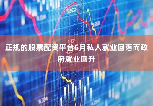 正规的股票配资平台6月私人就业回落而政府就业回升